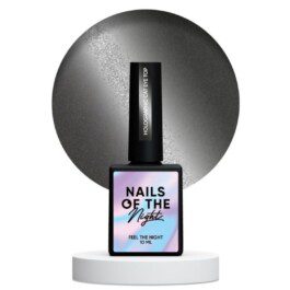 Nails Of The Day Holographic Cat eye top NAILSOFTHEDAY , 10 ml