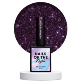 NAILSOFTHENIGHT Blackberry – fioletowy lakier hybrydowy z odblaskową drobinką, 10 ml